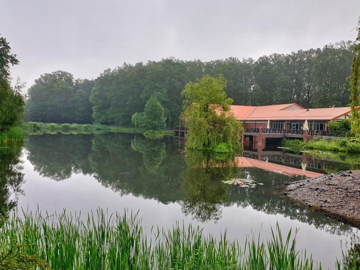 Stacja Nowa Gdynia Bed & Breakfast Aquapark Zgierz Exterior foto