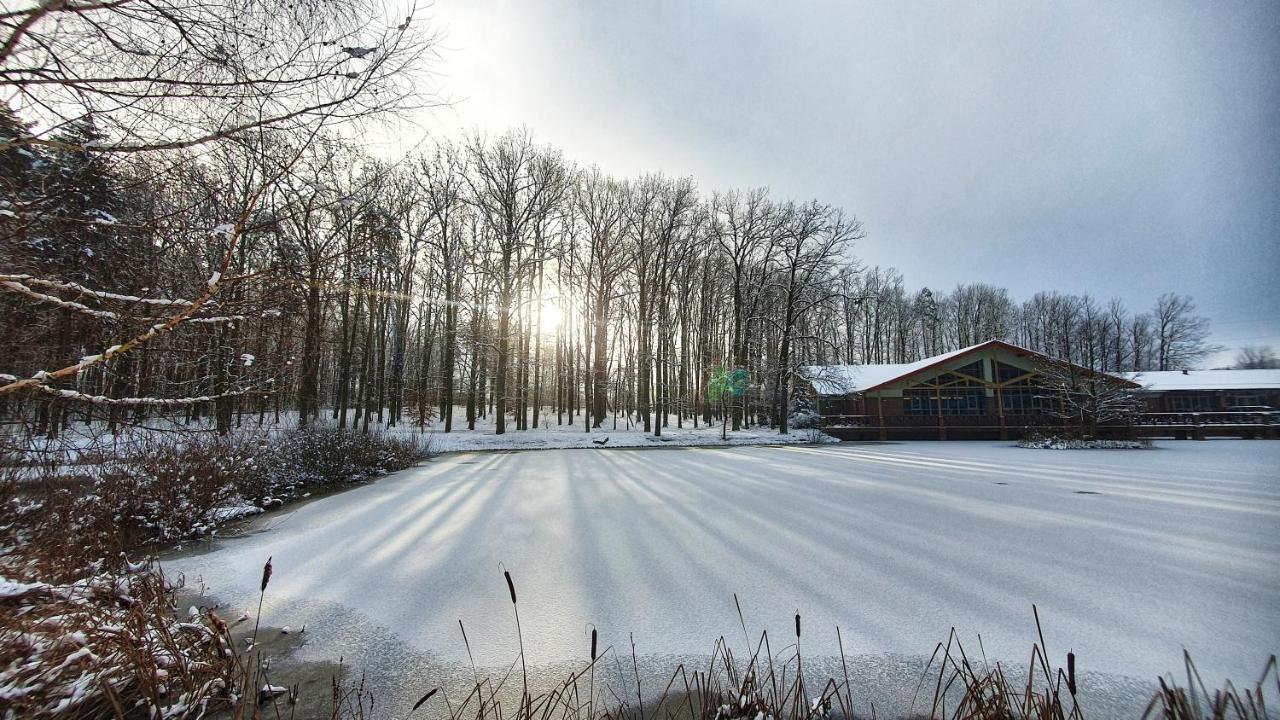 Stacja Nowa Gdynia Bed & Breakfast Aquapark Zgierz Exterior foto